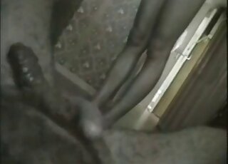 Vintage XXX scat fetish video